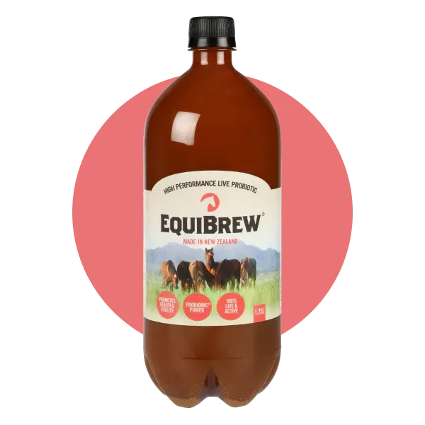 EquiBrew®: Live Horse Probiotic