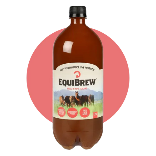 EquiBrew®: Live Horse Probiotic