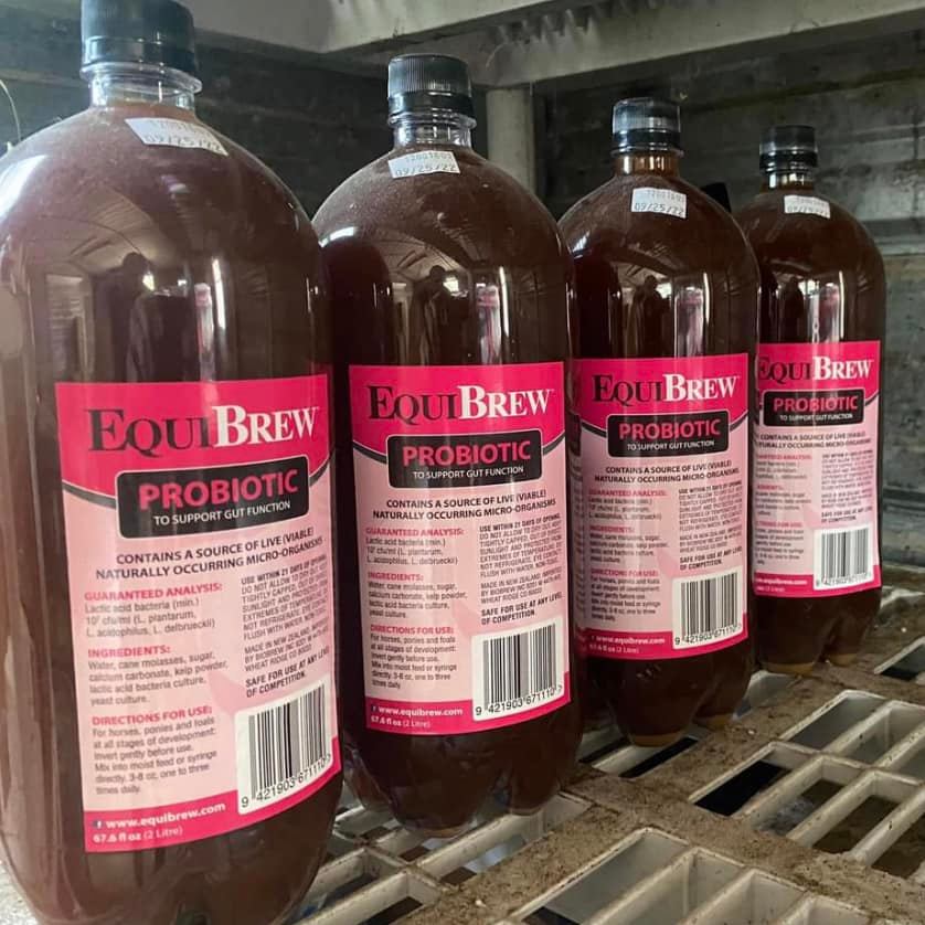 EquiBrew®: Live Horse Probiotic