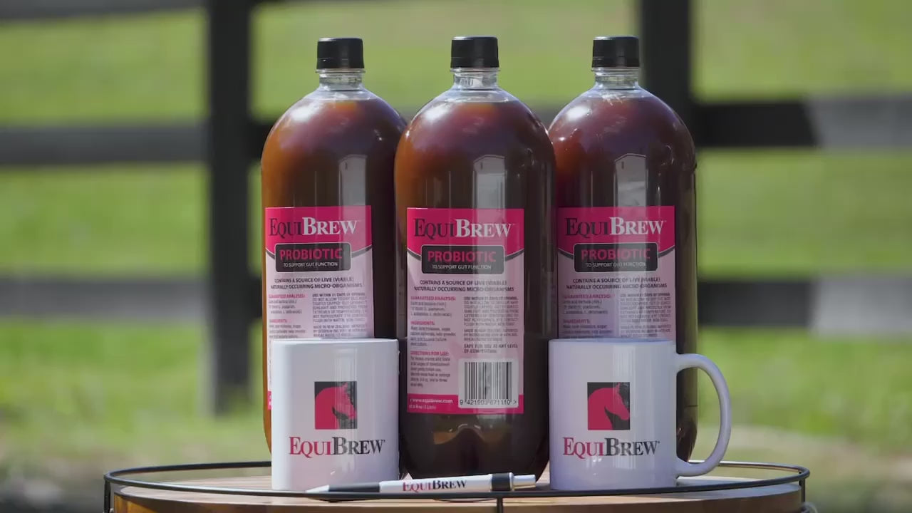 EquiBrew®: Live Horse Probiotic